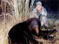 Eric Arnette of Texas with his Boone & Crockett chocolate brown bear. Harvested spring of 2007 with a High Country Sidewinder bow. Skull measurement of 20 6/8