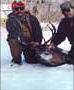 A magnificent 165 class Canadian whitetail deer harvested in north-central Manitoba.