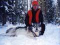 140lb Gray Timber Wolf harvested while hunting whitetail deer- Submitted Photo